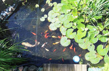 Ferienwohnung Familienwohnung - Foto 18