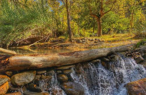 Casa El Higueral - Foto 22