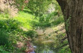 Natur an Metropole - Foto 23