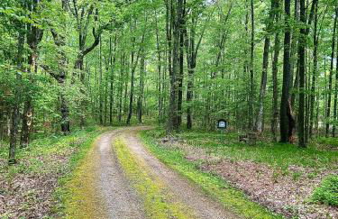 Private Cabin Getaway - Foto 15