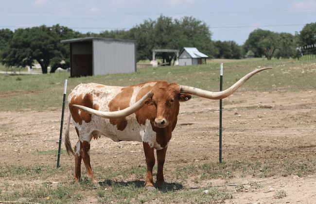 Twin Canyons Ranch Luxury Ranch Villas - Foto 26