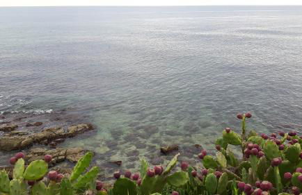 Maredentro - Foto 11