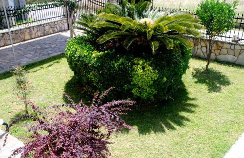 Amalias Place - Foto 51