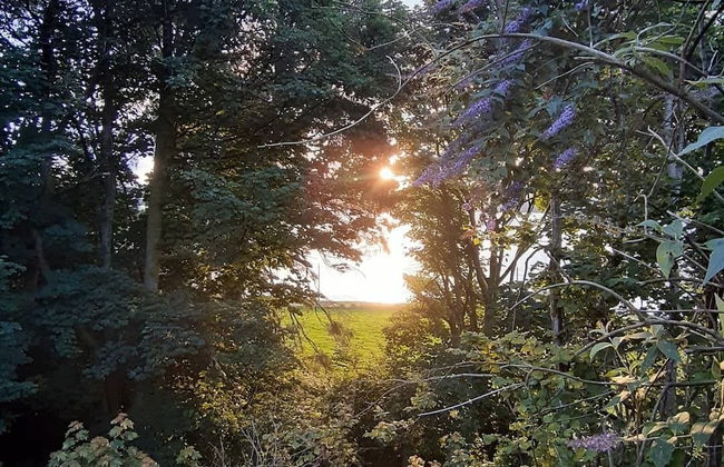 Off Grid 1-bed Cabin, Pets Ok, 20 Mins to Dunoon - Foto 17