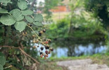 VillaKrocker - ElbeRadweg trifft WandKunstwerk - Photo 48