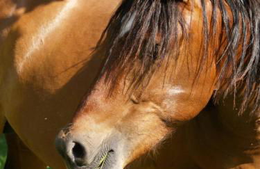 La Vayssade - Grand Gîte de charme - 14 pers - Piscine & Jacuzzi - Photo 50