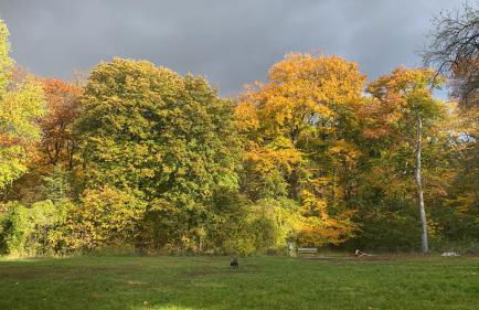 Hannover List 2 bedroom home away from home - Foto 11