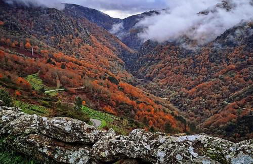 Casa Tome A Teixeira - Ribeira Sacra - Foto 21