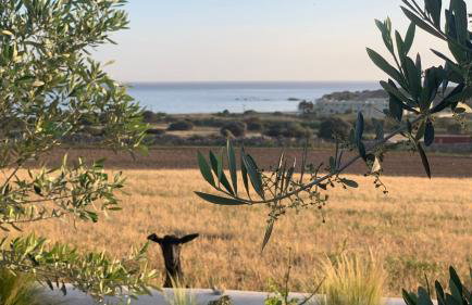 Marikos House, Pyrgaki Alyko Naxos - Foto 27