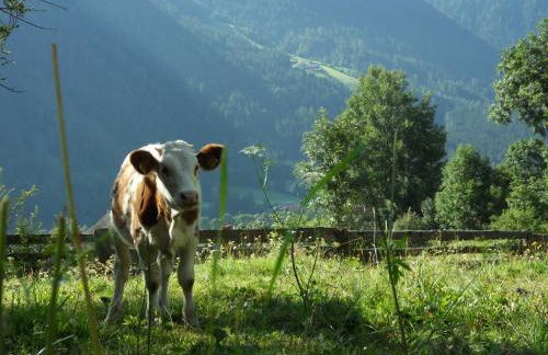 Wiesemann Biohof - Photo 7