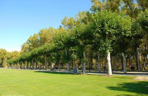 Vivienda uso turistico El Vie - Photo 18