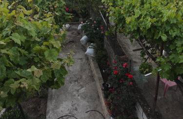 Μυρτώ - Photo 27