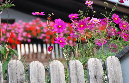 Hotel - Appartements Schmied Hans - Photo 66