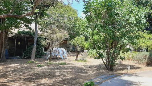 Maison lumineuse et spacieuse avec jardin arboré - Foto 2, Garden