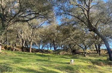 Casa rural La Frambuesa - Foto 41