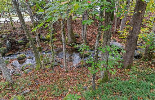 Little Bird Cabin by American Patriot Getaways - Foto 11