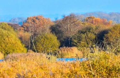 Wilf's Barn, romantic cottage with free parking - Foto 38