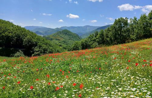 Agriturismo del Frontino - Ca' Benvenuto - Foto 35
