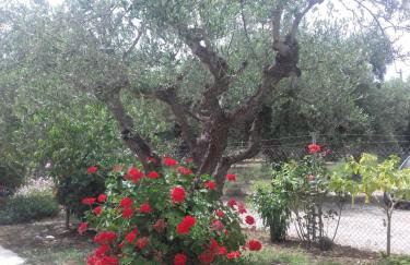 Mina Apartments - Foto 35