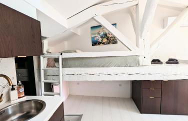 Charmant cocon sous les toits de Bordeaux - Foto 20