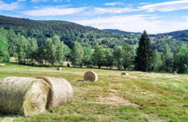 Agroturystyka Monte Luna domki - Foto 13