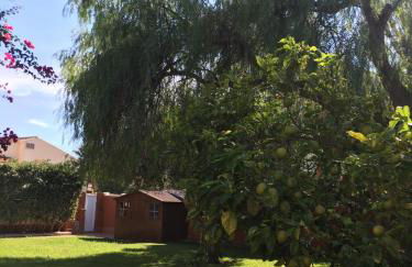 Casa buganvilla - Foto 11