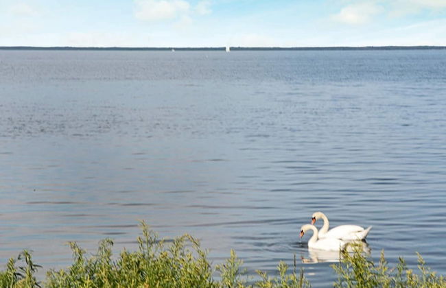 Holiday Home in Mörbylånga - Foto 62