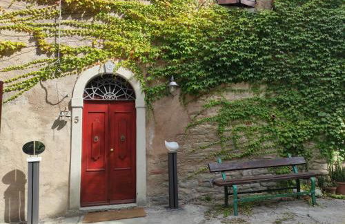 Porcaticcio - Foto 33