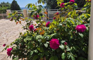 Casa di Pietro 2 - Foto 11