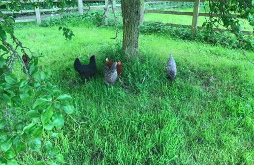 The Stables and Granary at Shawbroom Farm - Foto 9