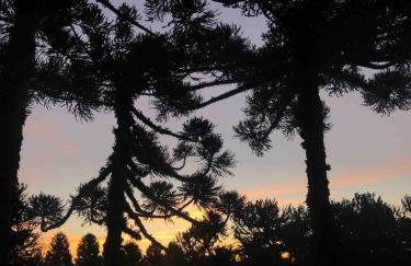 Lof Araucárias próx Rua Coberta by Achei Gramado - Foto 39