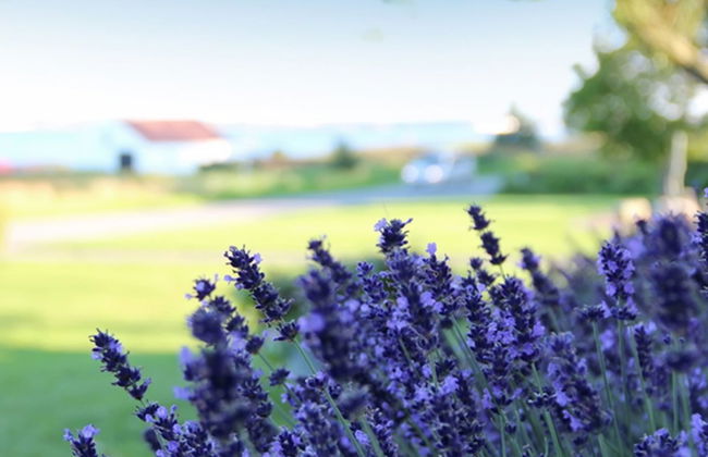 "Rina" - 30m to the fjord - Foto 21