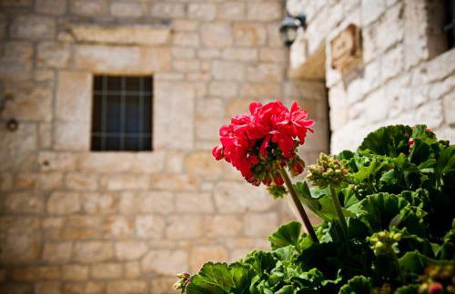 Trulli il Castagno - Foto 108