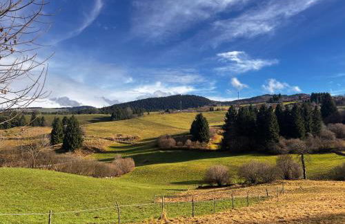 Chalet Le Dimore Asiago - Ideale per gruppi e Famiglie - Foto 39