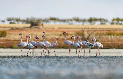 Casa Natura Blue Sea - Foto 35