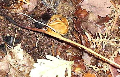 Casa Rural San Marcos - Foto 20