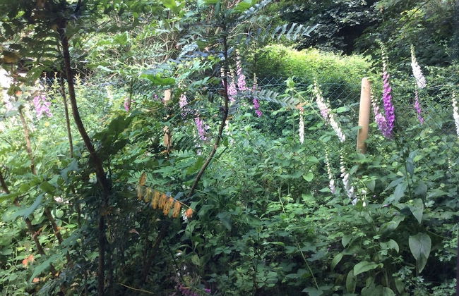 Spacious One Bed Deluxe Apartment in Daventry - Photo 16