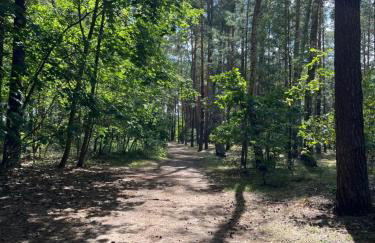 Domek na Morenowym Wzgórzu, nad jeziorem - Foto 48