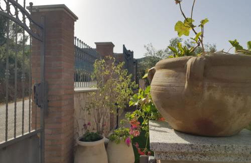 "La Pavoncella" Chia - Domus de Maria - Foto 43