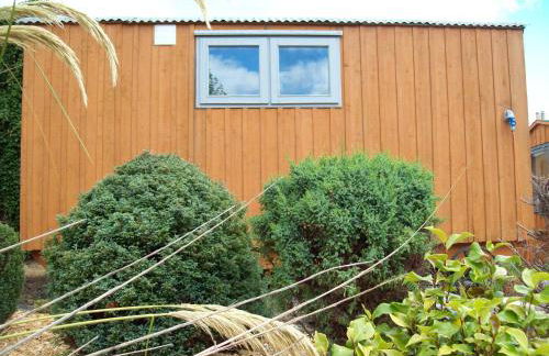 Waterloo Farm Shepherds Hut Glamping with Sun Lounge - Foto 20