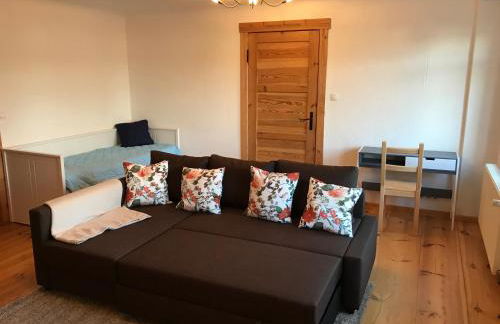 Sanierte möblierte Altbauwohnung am Waldrand für bis zu 6 Personen - Foto 1