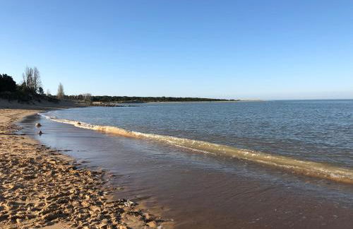 Résidence Clos des Aigrettes -Appartement de charme et confort à 30m du Port de La Cotinière - Foto 33