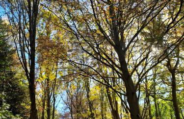 Ferienwohnungen Ambiente-Schmidt - Foto 13