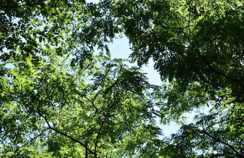 Schöne Wohnung in Oberhausen - Foto 27