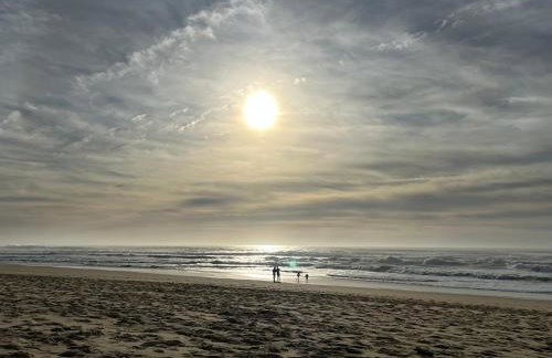 L'océan des Landes - La Dune - Photo 33