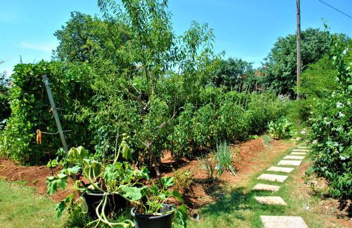 Apartment Pino - Foto 13