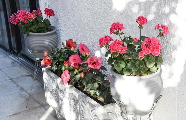 ANGELA STUDIOS - Foto 29