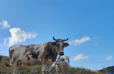 Aggeliki's Apartments - Foto 23