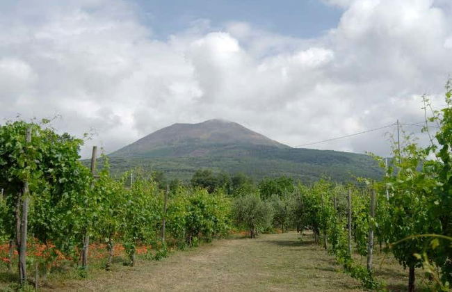 Visita a la bodega Fuocomuorto - Foto 6