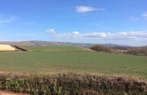 Jacobs Pond Monksilver - Foto 22